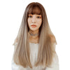 Long Straight Hair Wig