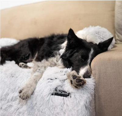 Dog Cushion Blanket Sofa Cover