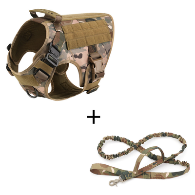 Dog Harness And Leash Set