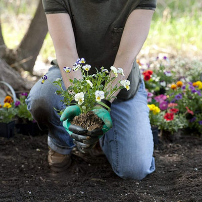 Claws Garden Gloves