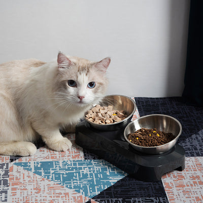 Pet Stainless Steel Bowl