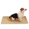 Pets Pad Repeated Water Absorption