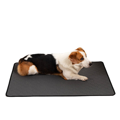 Pets Pad Repeated Water Absorption