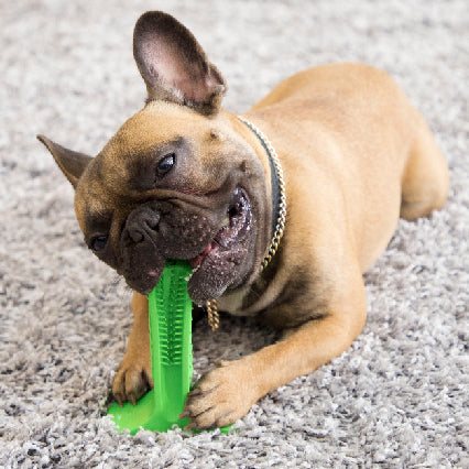 Silicone Pet Toothbrush