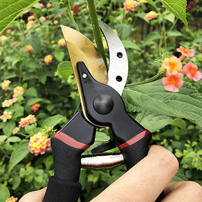 Pruning Shears Garden Tool