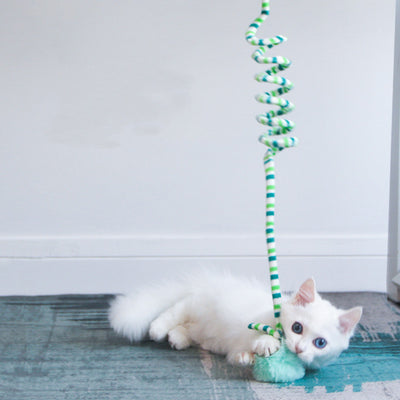 Pet Kitten Spring Cat Toy