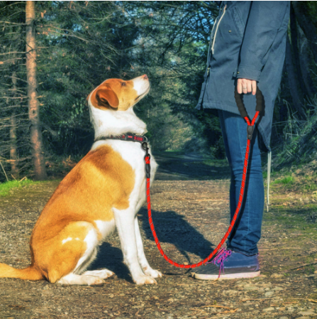 Reflective Dog Nylon Leash Rope