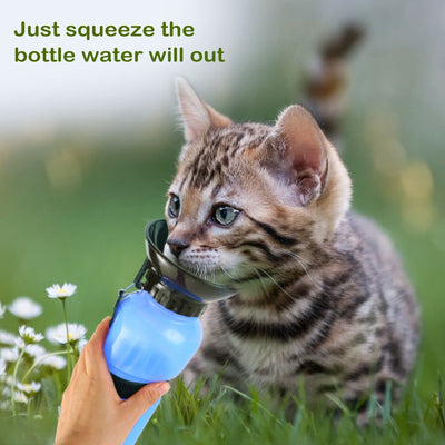 Portable Pet Water Dispenser