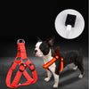 Pet LED Luminous Dog Chest Strap