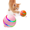 Pet Cat Wicked Ball Toy