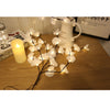 Phalaenopsis Tree Branch Light