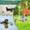 Pet Football Toys