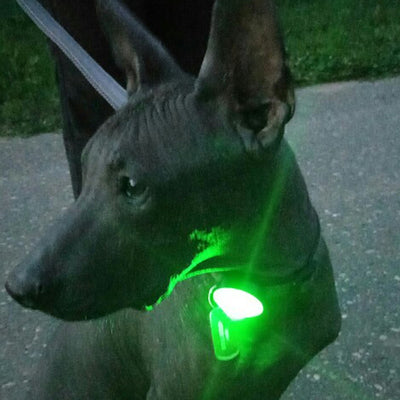 Truelove Pet Safety Flashing Dog Led Light