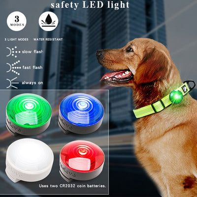 Truelove Pet Safety Flashing Dog Led Light