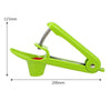 Cherry Fruit Kitchen Pitter