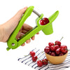 Cherry Fruit Kitchen Pitter