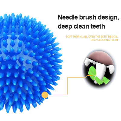 Tooth Cleaning Ball TPR Training