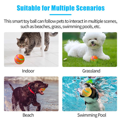 TinMiu Smart interactive Pet Toy  Ball