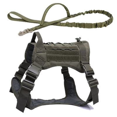 Training Vest Dog Harness and Leash