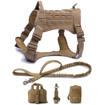 Training Vest Dog Harness and Leash