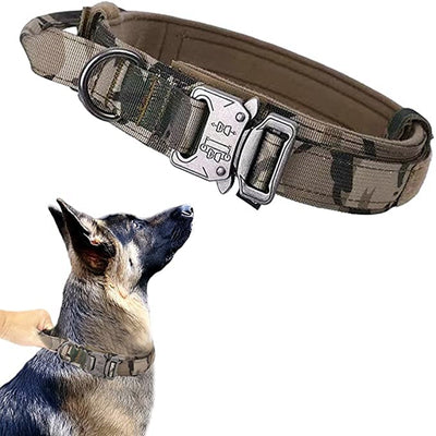 Training Vest Dog Harness and Leash