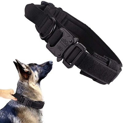 Training Vest Dog Harness and Leash