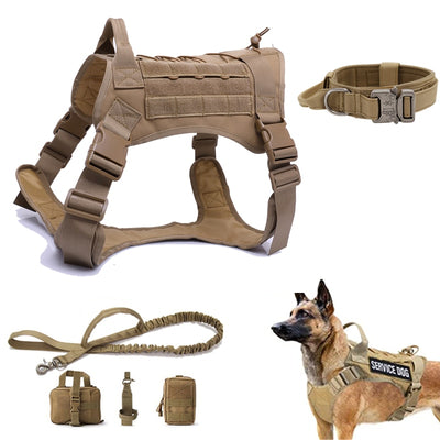 Training Vest Dog Harness and Leash