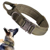 Training Vest Dog Harness and Leash