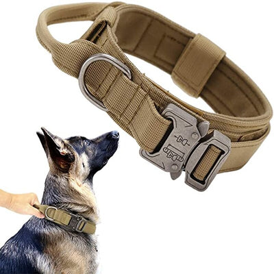 Training Vest Dog Harness and Leash