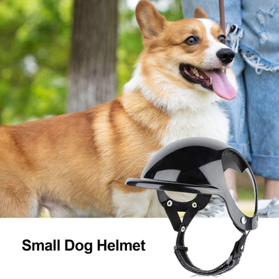 Pet Helmet