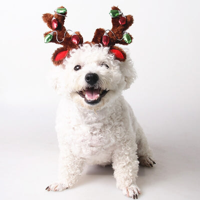 Cute Pet Cat Hat Christmas