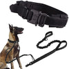 Training Vest Dog Harness and Leash