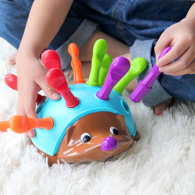 Hedgehog Educational Toy