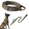 Training Vest Dog Harness and Leash