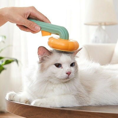 Pet Pumpkin Grooming Brush