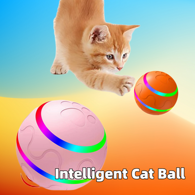 Pet Cat Wicked Ball Toy